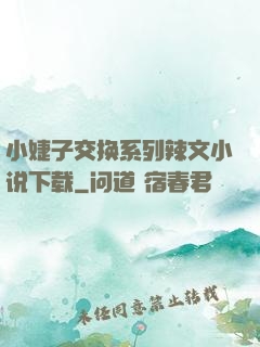 小婕子交换系列辣文小说下载